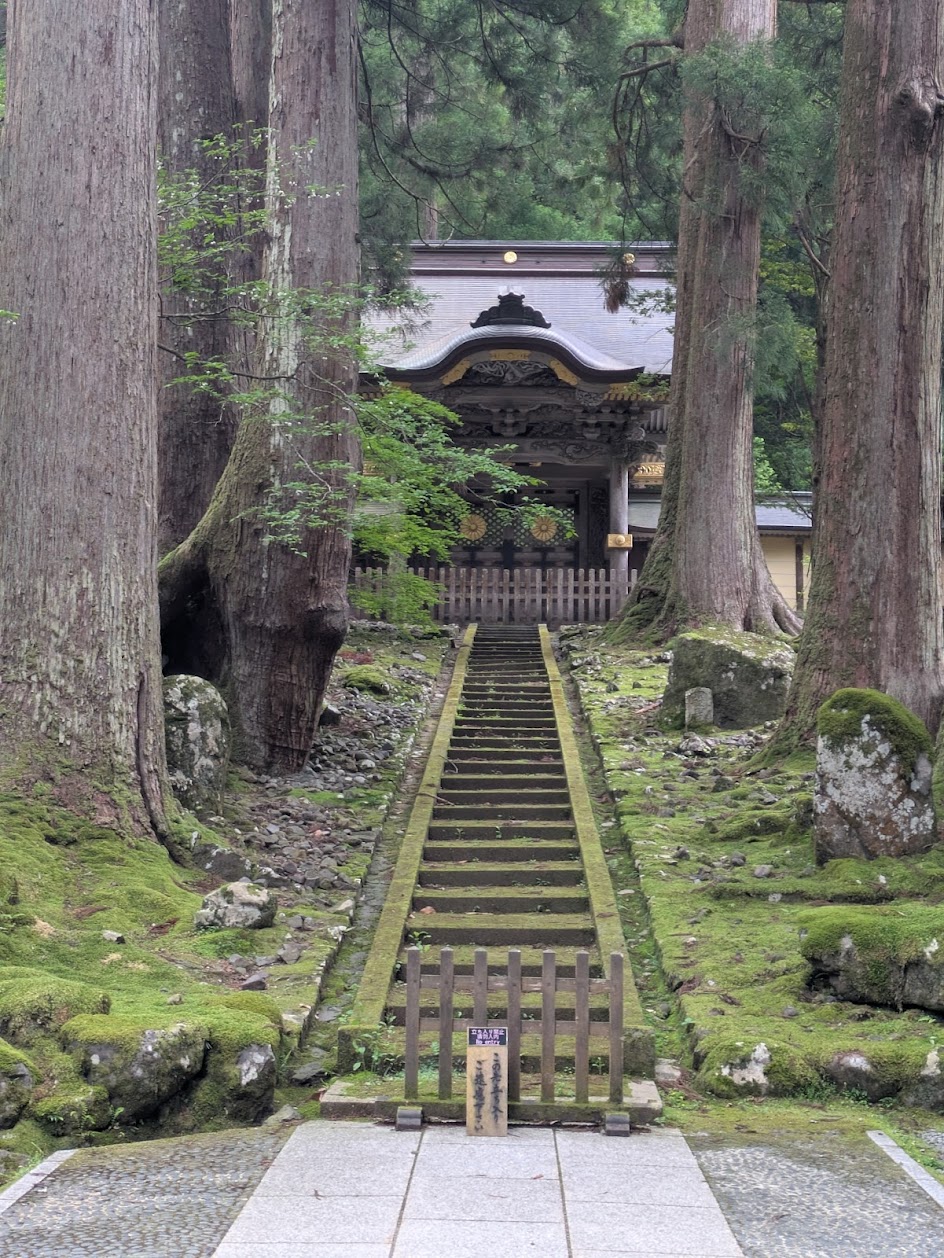 永平寺 石段と杉