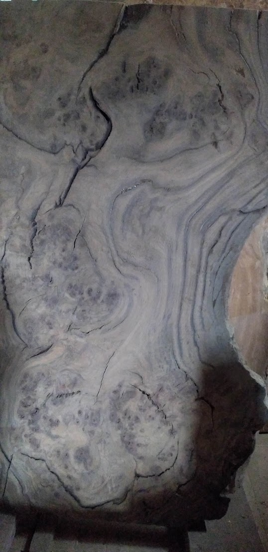 Jindai nara (bog oak) slab — grey-green colour from centuries underground